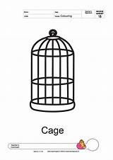 Cage Coloring Pages Colouring Birds Designlooter Parakeet Templates 2000px 24kb 1414 Thick Line Template Worksheets Larger sketch template