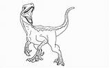 Rex Indominus Coloringhome Indoraptor Dinosaurier sketch template