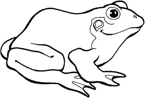 frog coloring pages  kids images color pages collection