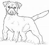 Coloring Pages Dachshund Getdrawings sketch template