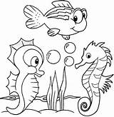 Seahorse Ocean Seahorses Coloringpagesfortoddlers Caballitos Páginas Pintadas Caballito Gaddynippercrayons sketch template