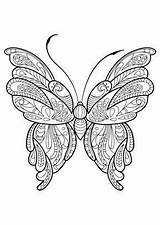 Kleurplaat Vlinder sketch template