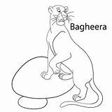 Bagheera Panther sketch template