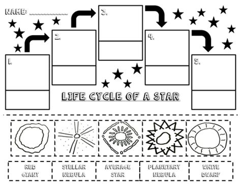 life cycle   star activities packet  lyndsdive