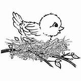Coloring Pages Birds Cute Baby Kids Printables sketch template