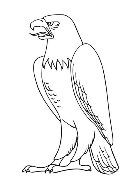 printable eagle coloring pages  kids bird coloring pages