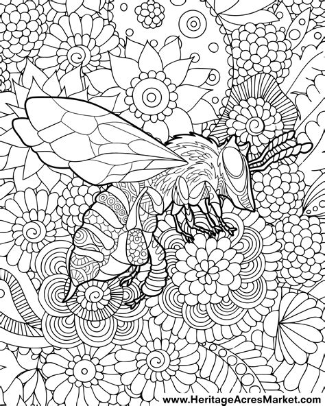 bee coloring pages    high quality  printable