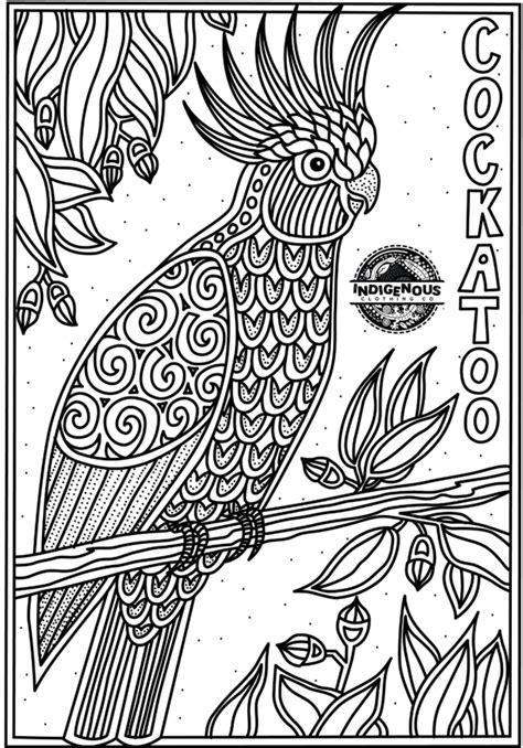 discover indigenous animal coloring pages  kids