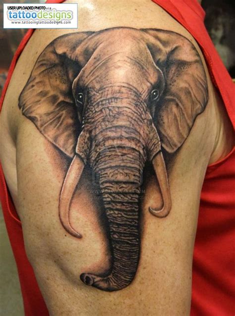 wild tattoos elephant tattoos