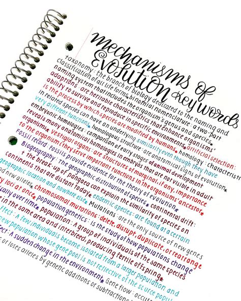 neat study notes neat printing hand lettering neat handwriting