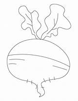 Turnip Enormous Coloring Pages Kids sketch template