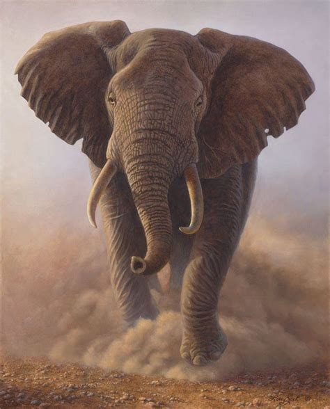 charging bull african elephant elephant painting bull elephant elephant photography
