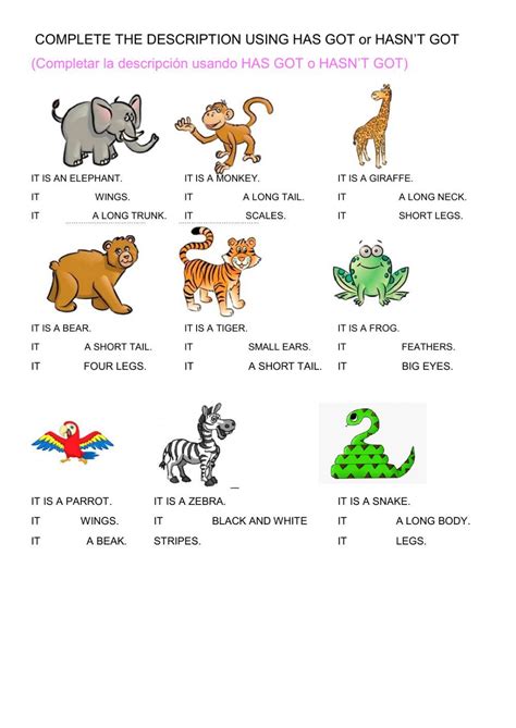 animal description interactive worksheet   grado worksheets