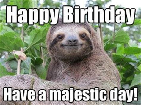 happy birthday sloth good night funny happy birthday animals good