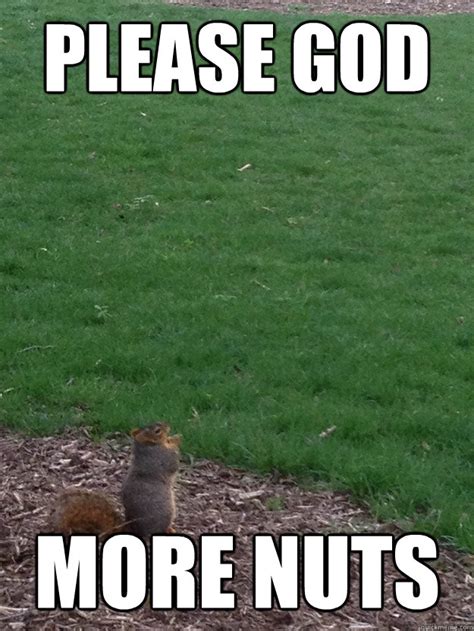 Praying Squirrel Memes Quickmeme