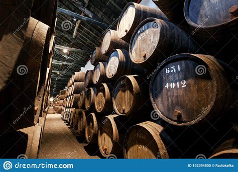 Dark Wine Cellar With Numbered Wooden Barrels For Traditional