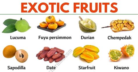 tropical fruits list of 90 popular tropical fruits in english esl