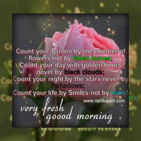 good morningcount  gardenby  number  flowers   fallen