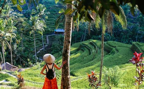 top 10 things to do in indonesia bali and beyond