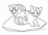 Cat Coloring Cats Pages Pillow Two Drawing Sketch Clipart Kittens Print Clip Cliparts Tree Library Sketches Getdrawings Paintingvalley Colored Comments sketch template