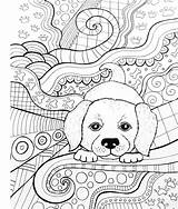 Coloring Baby Animals Color Amazon Zendoodle Books Animal Pages Adult Critters Jeanette Adorable Display Adults sketch template