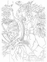 Paradise Pages Color Tropical Dover Publications Scenes Coloring Adult Paint Doverpublications Book Colouring Printable Animals Books Welcome Zb Samples sketch template