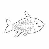 Fish Template sketch template