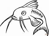 Pesce Colorare Gatto Peixe Pesci Disegni Triste Pez Colorir Bambini Catfish Caricatura Tudodesenhos Clipart Amarilis sketch template
