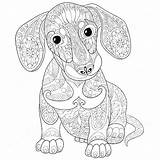 Coloring Dachshund Pages Dog Mandala Puppy Ausmalbilder Hunde Hard Mandalas Colouring Printable Drawing Ausmalen Erwachsene Puppies Tegninger Adult Zentangle Bilder sketch template