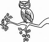 Owl Sleeping Coloring sketch template