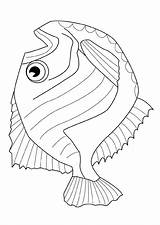 Dead Fish Sundial Pages Coloring Template Getdrawings Getcolorings Vissen Water sketch template