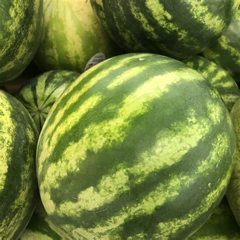 seedless watermelon medium azar supermarket