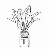 Plant Houseplants 30seconds sketch template