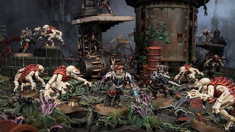 unboxing warhammer  kill team ontabletop home  beasts  war