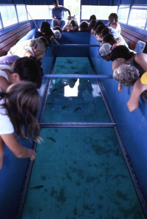 Florida Memory Visitors Enjoying The View During A Glass Bottom Boat