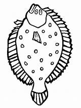Flounder Clipartmag sketch template
