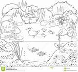 Pond Coloring Duck Stock Vector Illustration 97kb 1300 sketch template