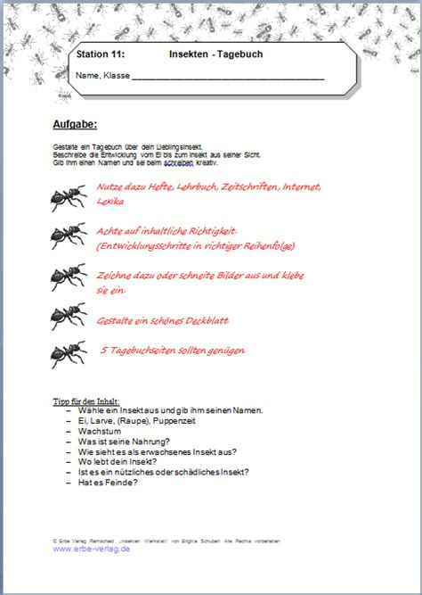 insekten werkstatt bienen spinnen ameisen uvm der erbe