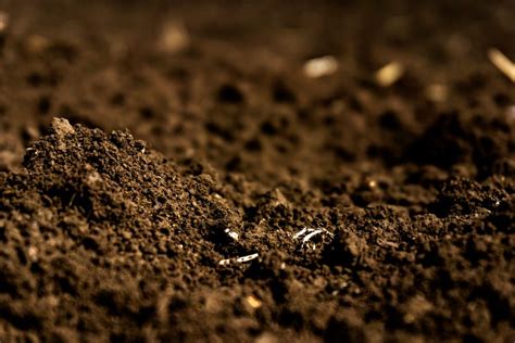 principles  soil health grainews