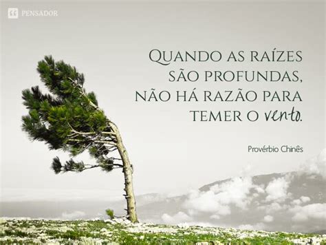 frases  mostram como  familia  importante na nossa