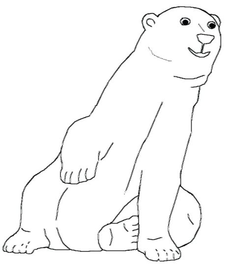 polar bear sitting   hind legs