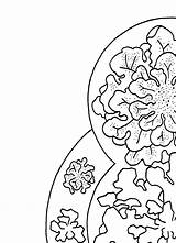 Lichen sketch template