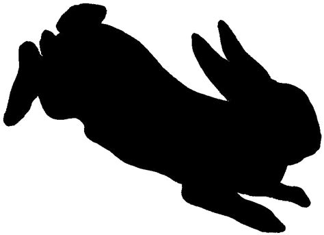 rabbit silhouette  anitess  deviantart