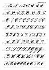Calligraphy Copperplate Handwriting Fountainpennetwork Cursive Caligrafia Alfabeto Scripts Cursief Handschrift sketch template