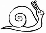 Snail Template Drawing Line Clipart Simple Coloring Draw Colour Getdrawings Print Library sketch template