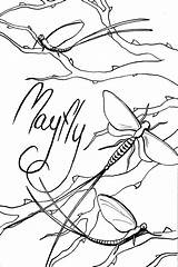 Mayfly Print Coloringbay sketch template