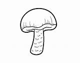 Mushroom Coloring Coloringcrew sketch template