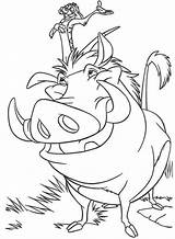 Timon Coloring Lion Pumbaa King Pages Drawing Pumba Mufasa Outline Zazu Colouring Disney Color Kiara Clipart Und Horse Printable Cartoon sketch template