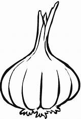 Garlic Coloring Printable Pages sketch template