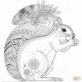 Zentangle Coloring Squirrel Kleurplaat Eekhoorn Ardilla Supercoloring Eichhörnchen Ausmalbild Printen Dieren Malvorlagen Tegninger Egern Dibujos Ausdrucken Wiewiórka Malvorlage Ausmalen Wzorze sketch template